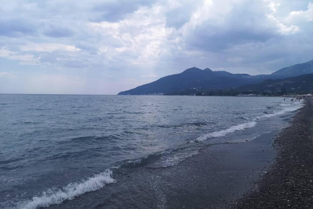 Villa Cilento Mare, Bellissima Con Ampio Giardino 卡皮泰洛 外观 照片